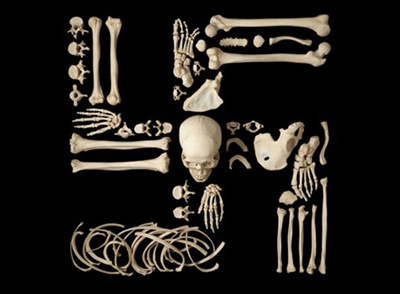 bones14