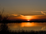 IMG_7677_BartusKN.jpg
