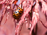 IMG_8392_bartuskn.nl.jpg