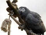 IMG_7572_bartuskn.nl.jpg