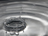 IMG_8583_bartuskn.nl.jpg
