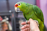 IMG_1052_bartuskn.nl.jpg