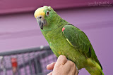 IMG_1056_bartuskn.nl.jpg
