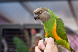 IMG_1060_bartuskn.nl.jpg