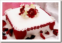 IMG_6661e IMG_6661e