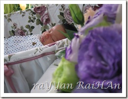 IMG_1508 IMG_1508