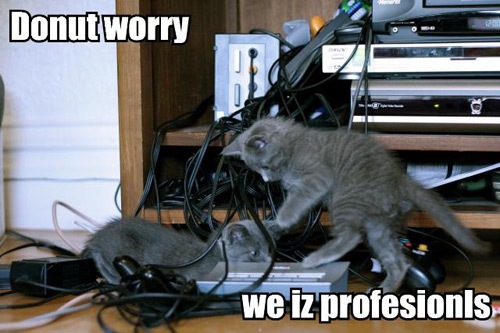 [donut-worry-we-iz-profesion[4].jpg]