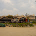 S5300004.JPG