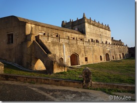 P1010293 P1010293