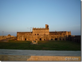 P1010331