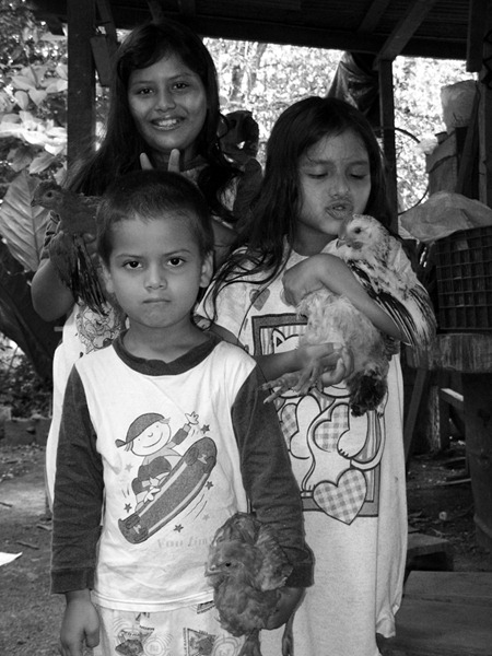 IMG_0292 IMG_0292