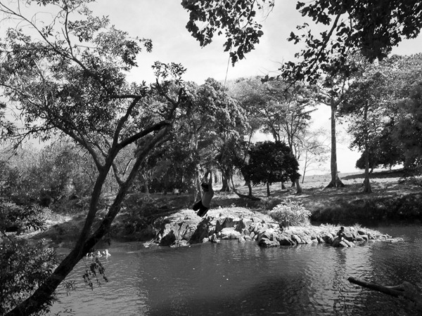 P1040811 P1040811
