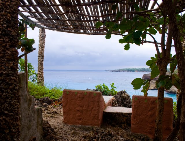 photo showing view of the horizon and bamboo canopy from Fig Tree house