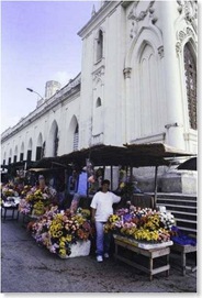 Centro de la ciudad. 