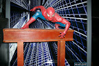 spider man, spider man ....