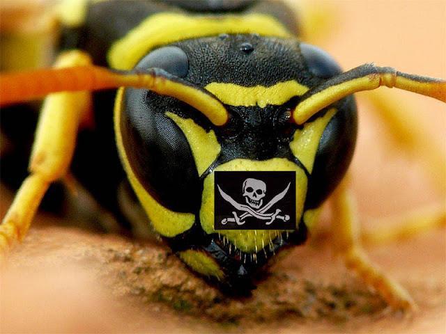avispa%20copiar.jpg