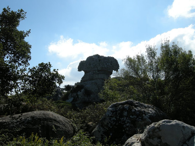 DSCN6386.JPG