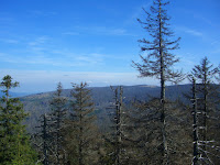 CIMG0385.JPG Photo