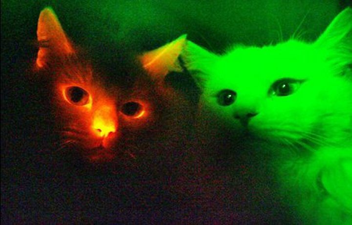 [fluor[5].jpg]