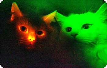 fluor