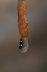 stalactite_ComputerHotline_gota