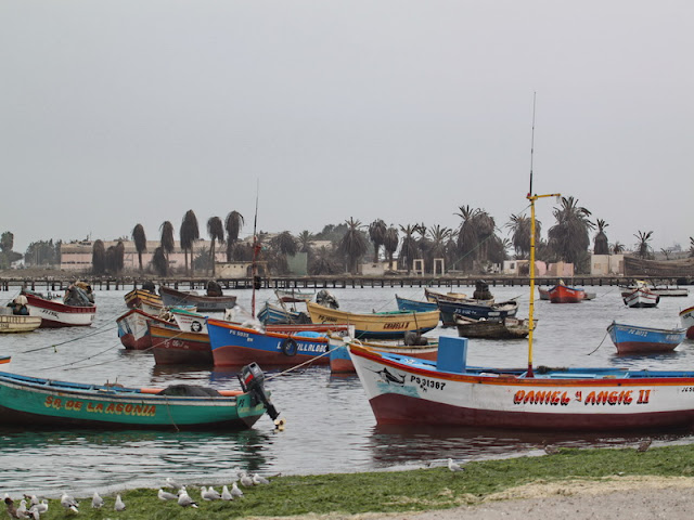 Галопом по перуанским Андам