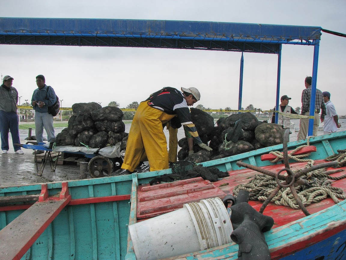 Галопом по перуанским Андам