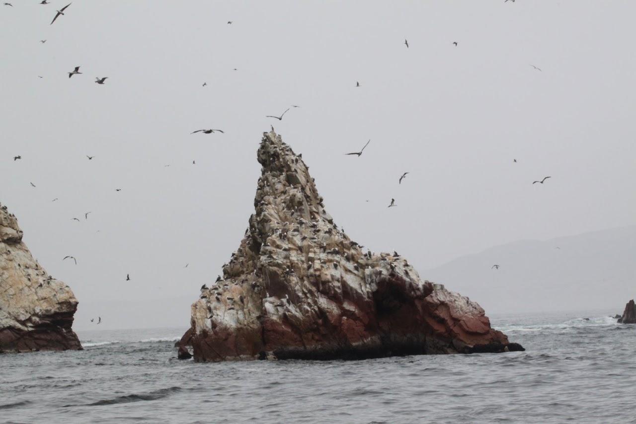 Галопом по перуанским Андам
