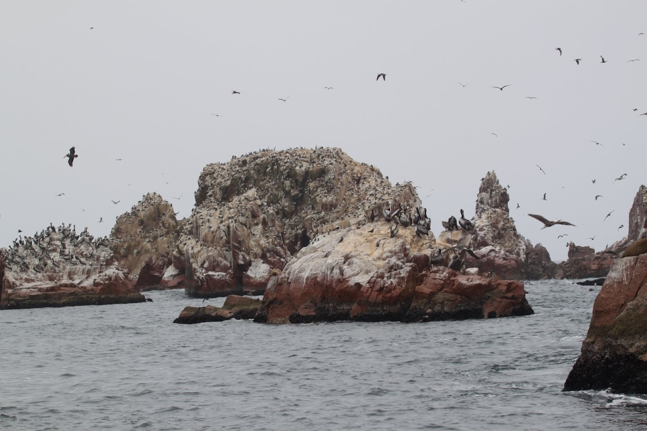 Галопом по перуанским Андам