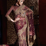 Indian%20Net%20Sarees3 Indian Net Sarees