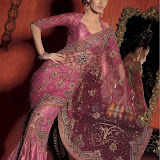 Indian%20Net%20Sarees4 Indian Net Sarees