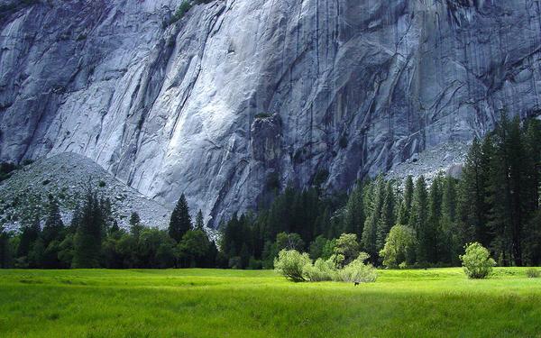 new natural wallpapers