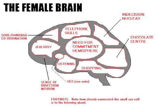 Female Brain