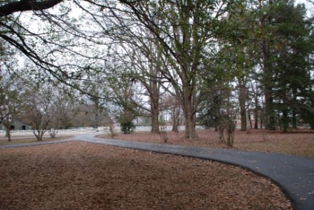 [DSC_0221[2].jpg]