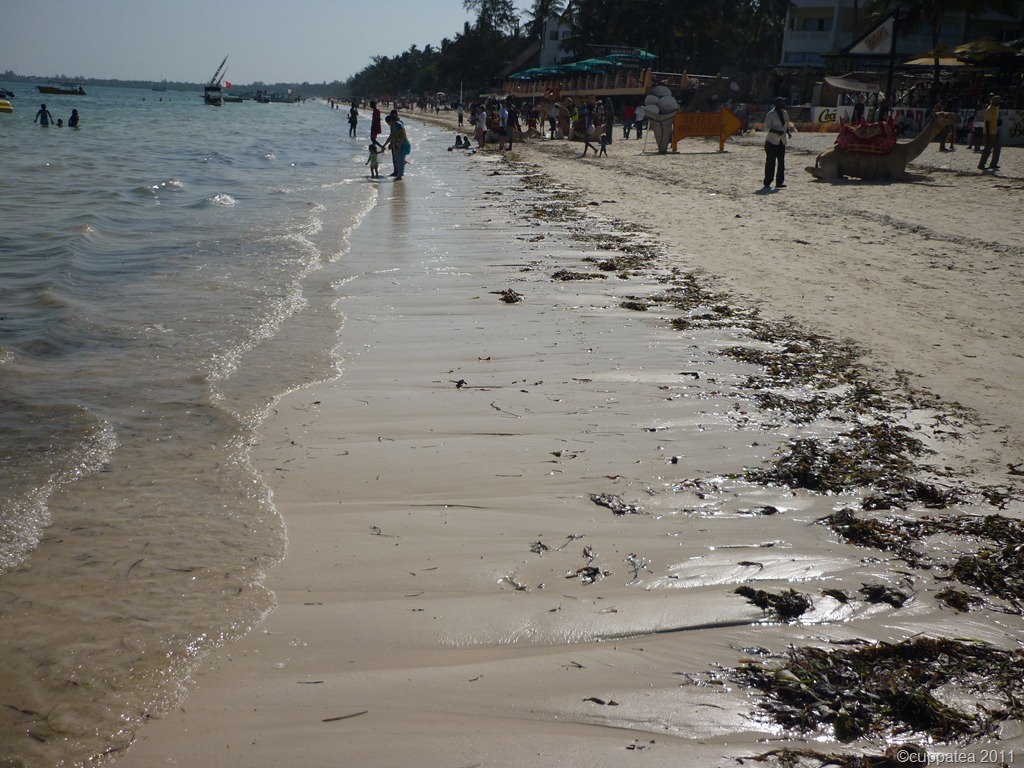 [P1000321[6].jpg]