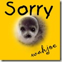 sorry copy