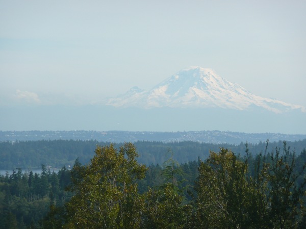 P1060241