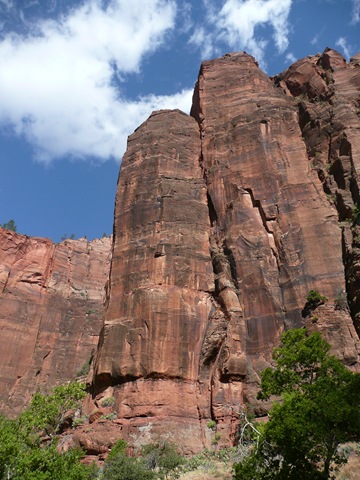 [P1060463[3].jpg]
