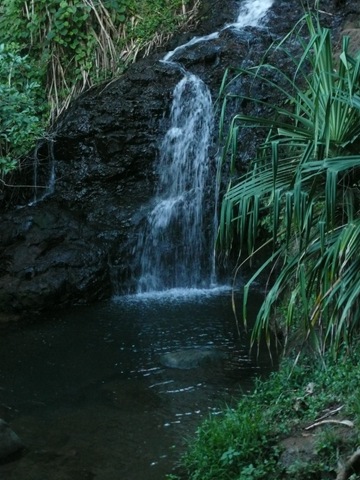 [P1070937[2].jpg]