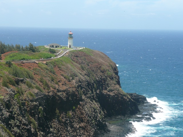 [P1070895[3].jpg]