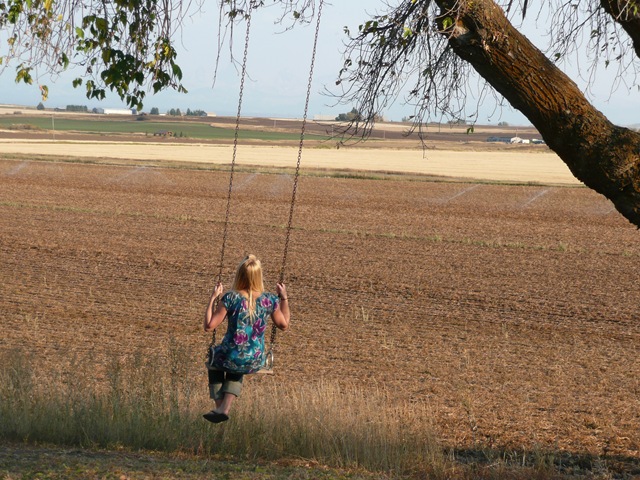 [Copy (2) of P1080798[3].jpg]