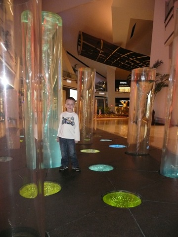 [P1100069[3].jpg]