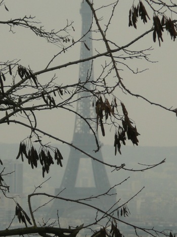 P1100436