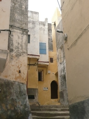 [P1100721[2].jpg]