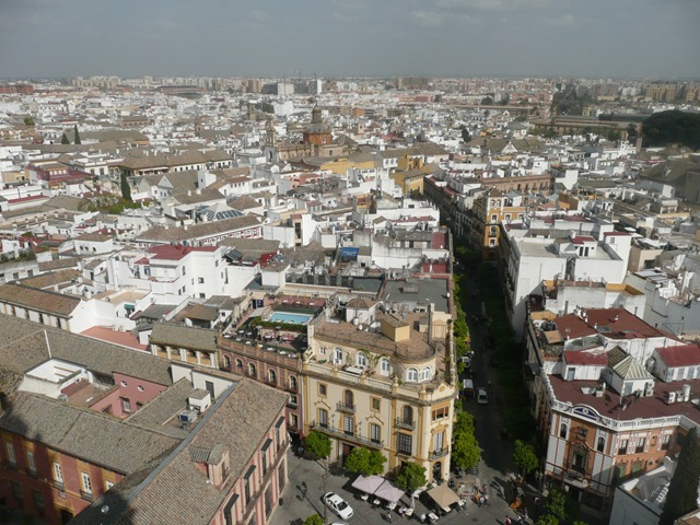 [P1100912[3].jpg]