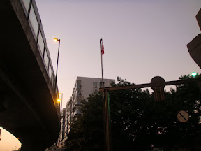 DSC02404.JPG