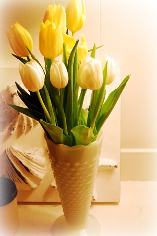 [new year's tulips[3].jpg]