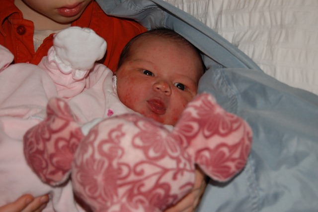 [DSC_0476[2].jpg]