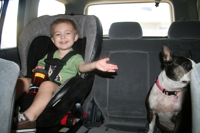 [1st half Puppy Day 021[4].jpg]