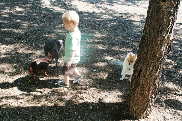 [1st half Puppy Day 035[5].jpg]